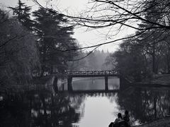 -上海共青森林公园