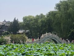 -莲花池公园