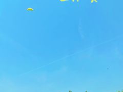 -春花秋色城市公园