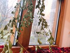 -小苍兰风铃草蛋糕甜品(沈阳店)
