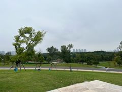 -盘龙城国家考古遗址公园