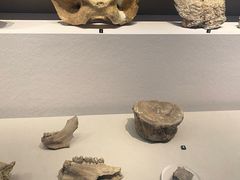 -诸暨博物馆