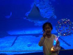 -烟台海昌鲸鲨海洋公园