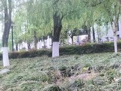 -成都中医药大学(温江校区)