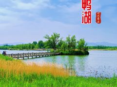 -野鸭湖国家湿地公园