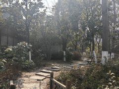 -水绘园