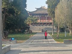 -西苑公园