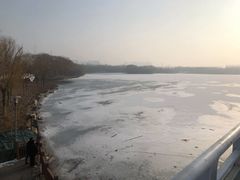 -大兴滨河森林公园