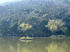 -采石矶景区