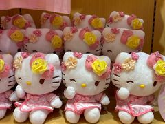 -安吉Hello Kitty乐园