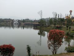 -枫香湖儿童公园