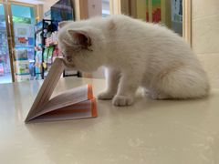 -仁华宠物医院(青羊店)