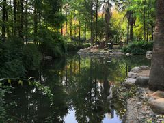 -苏州河梦清园环保主题公园