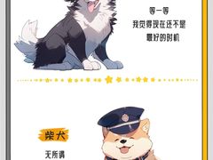 -北京京卫宠物寄养训练中心