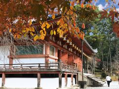 -醍醐寺