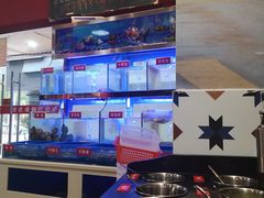 -小龍鳳·港式海鲜打边炉(沙湖路店)