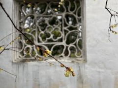 -拙政园
