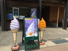 -富田农场