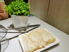 -古乐牛香·鲜牛肉牛杂火锅(新区店)