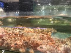 -龙宴海鲜城(经中路店)