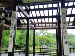 -长广溪湿地公园