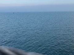 -贡湖湾湿地公园