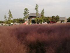 -江苏三台山国家森林公园