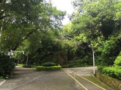 -中山公园(石岐街道)