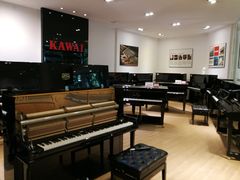 -柏斯琴行(汾阳店)