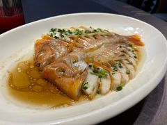 -骏莱海鲜鱼港(五角场店)