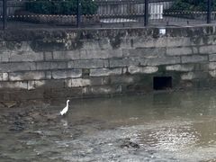 -竹园竹升面(西关总店)
