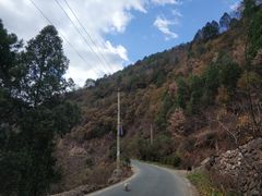 -黑河国家森林公园