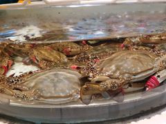 -老虎滩船说·海胆水饺·大连海鲜(老虎滩店)