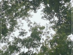-翠湖国家城市湿地公园