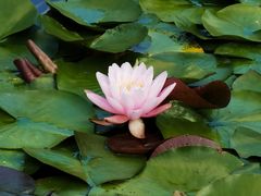 -国家植物园南园