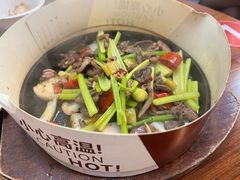 -谢记上海大排档(长寿路店)