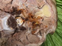 -清真悦宾楼食府(海湖店)