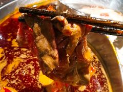 极品毛肚-晓宇重庆火锅(赛格国际购物中心店)