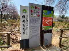 -洛阳市隋唐城遗址植物园
