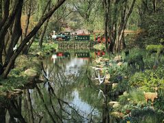 -上海共青森林公园