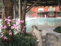 -天赐温泉
