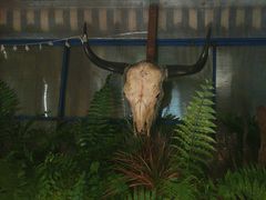 -野蔓果·山野菜(西湖景区·龙井茶田店)