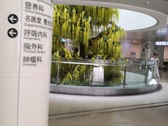 -南方医科大学深圳医院