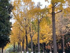 -苏州河梦清园环保主题公园