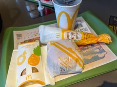 -麦当劳(红旗路店)