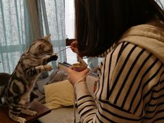 猫罐头-共舞时光猫咖·狗咖(新街口店)