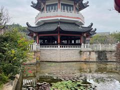 -广东花都湖国家湿地公园