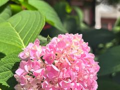 -北京石刻艺术博物馆