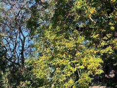 -长椿街(地铁站)