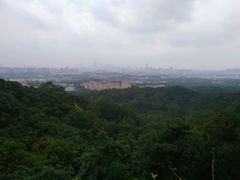 android_upload_pic-火炉山森林公园